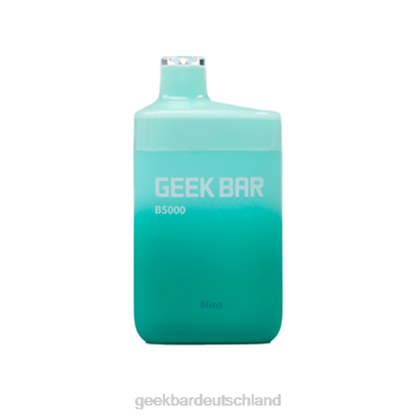 Geek Bar b5000 Einwegartikel Minze 002Z32 - Geek Bar Deutschland